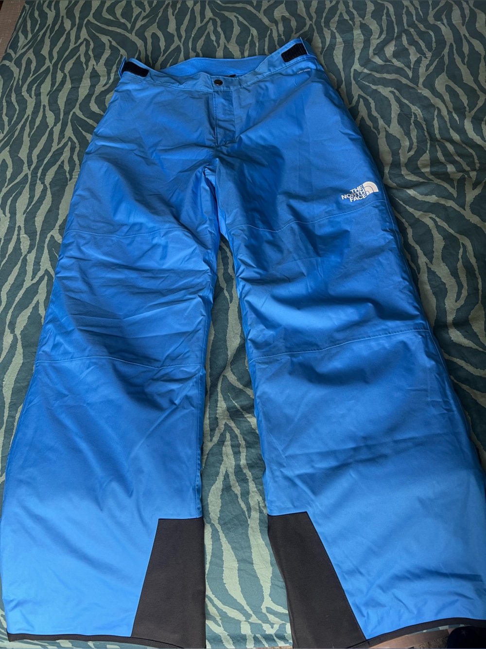 The North Face Snow Pants Boys